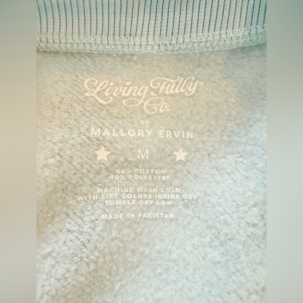 Living Fully Co. by Mallory Ervin Light Blue "Not Today Cupid" Sweatshirt, Med - Picture 7 of 7
